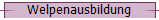 Welpenausbildung